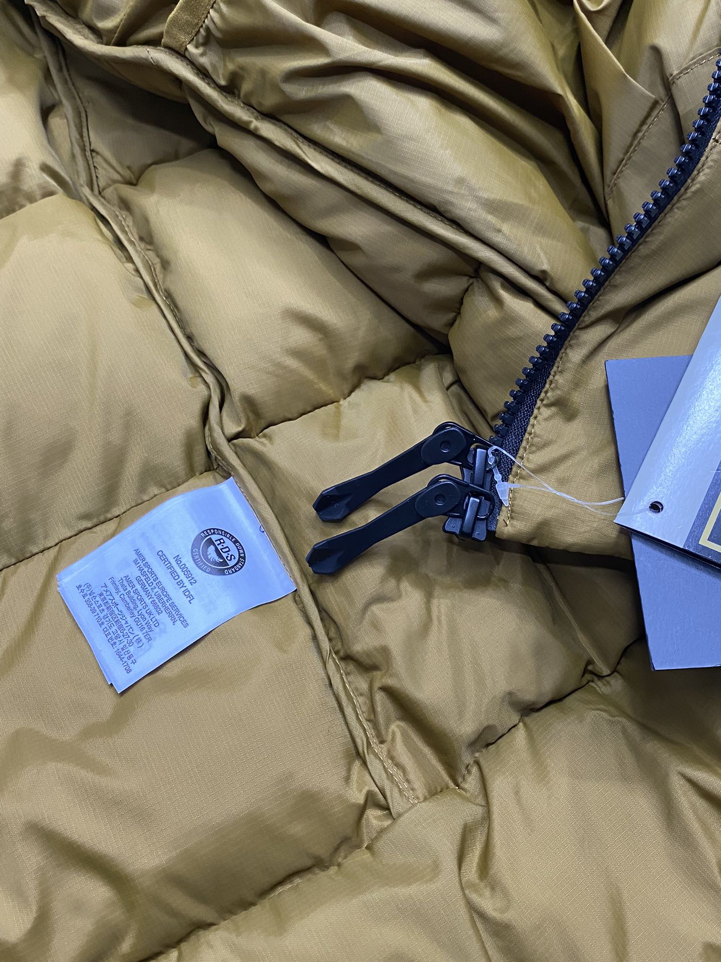 Arcteryx Down Jackets